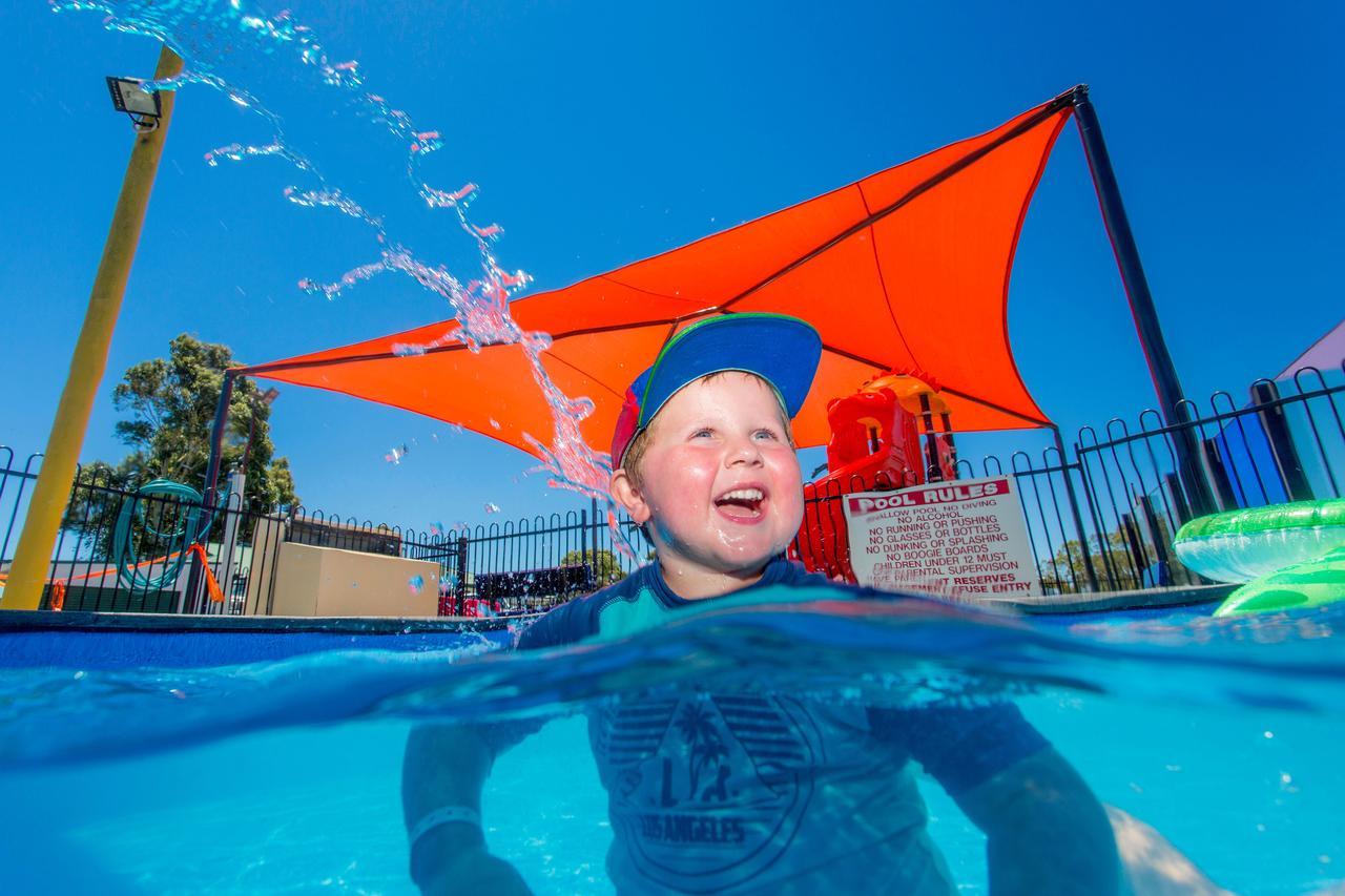 Big4 Traralgon Park Lane Holiday Park المظهر الخارجي الصورة